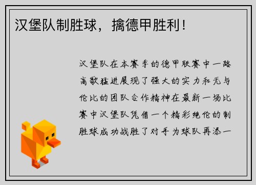 汉堡队制胜球，擒德甲胜利！